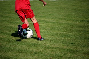 开云官网-中国篮球教练员战术创新培训体系，全国篮球教练员岗位培训